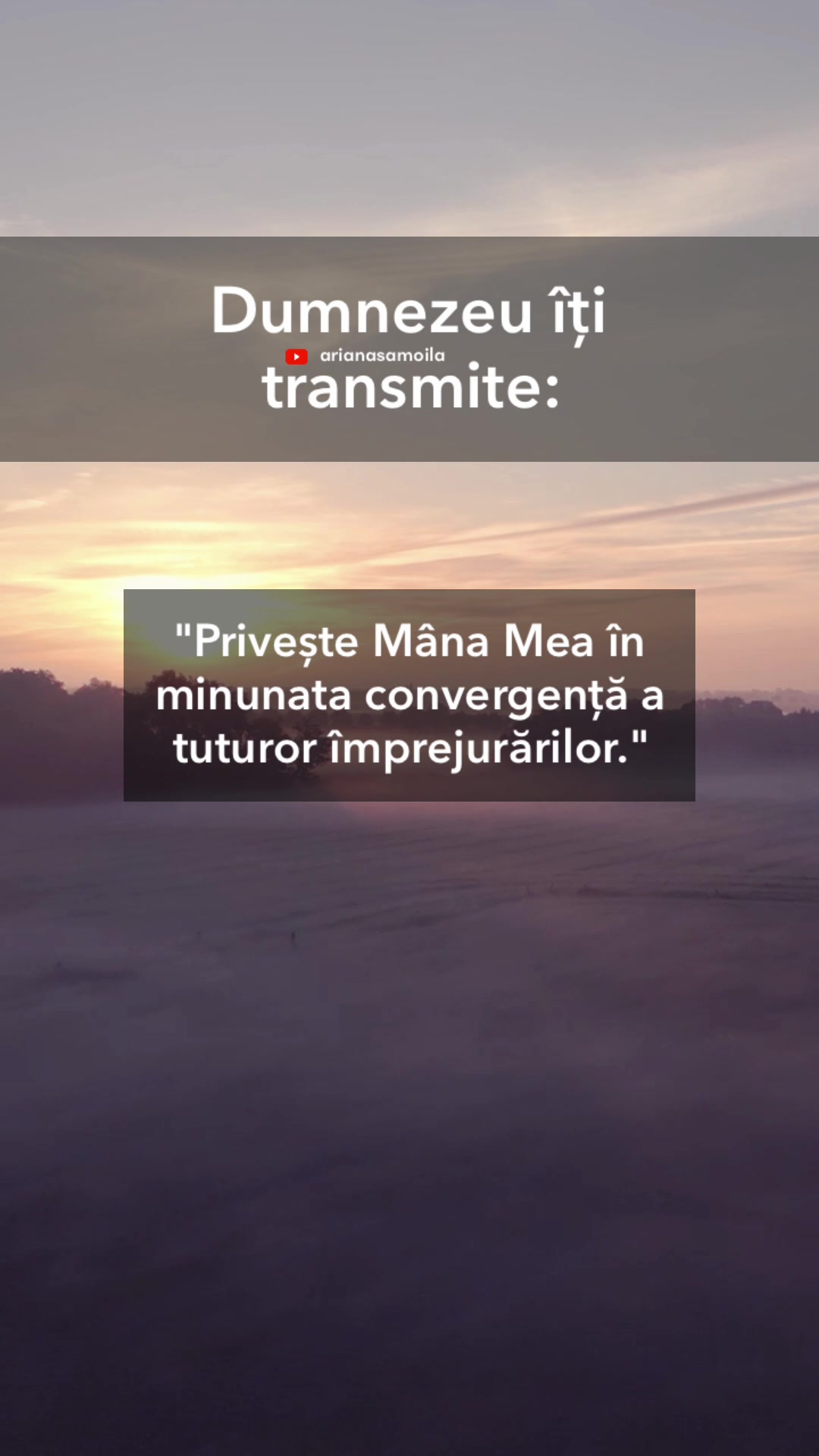 @Ariana Samoilă
