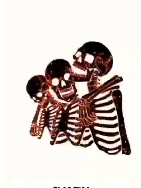 @ILLYEX™