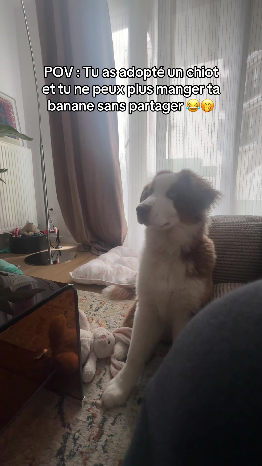 @Bubalu & Mum 🐶