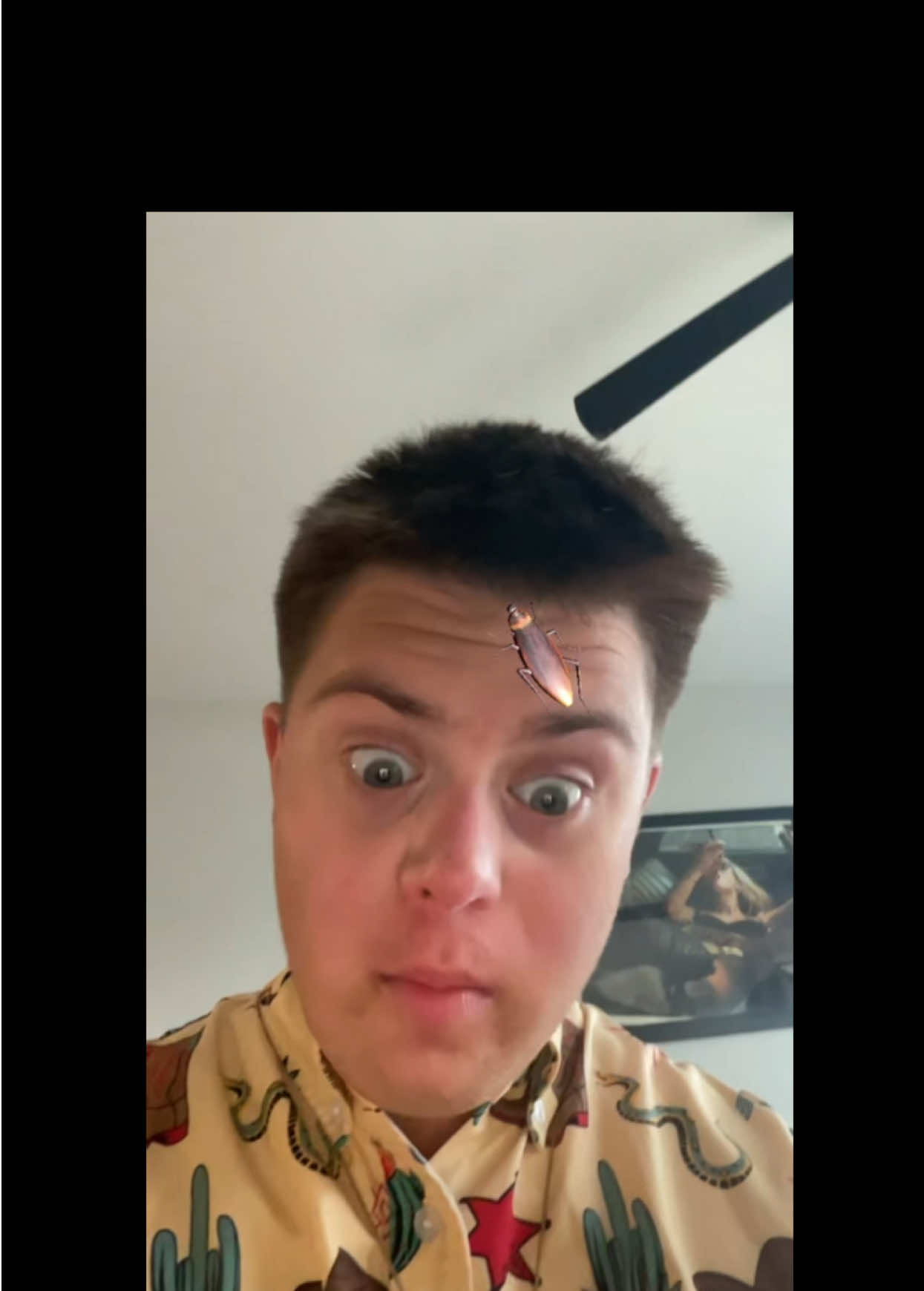 @King of TikTok