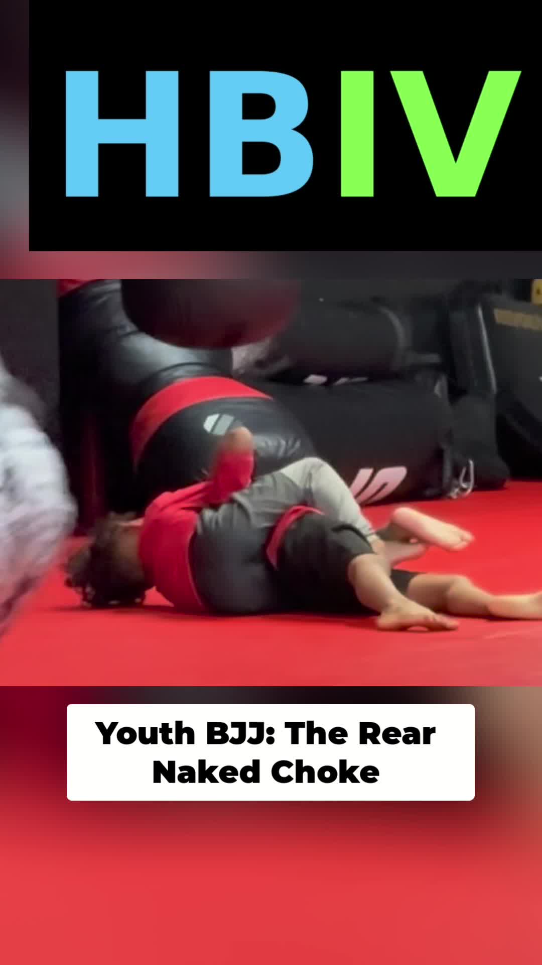 @HBIVthesamurai