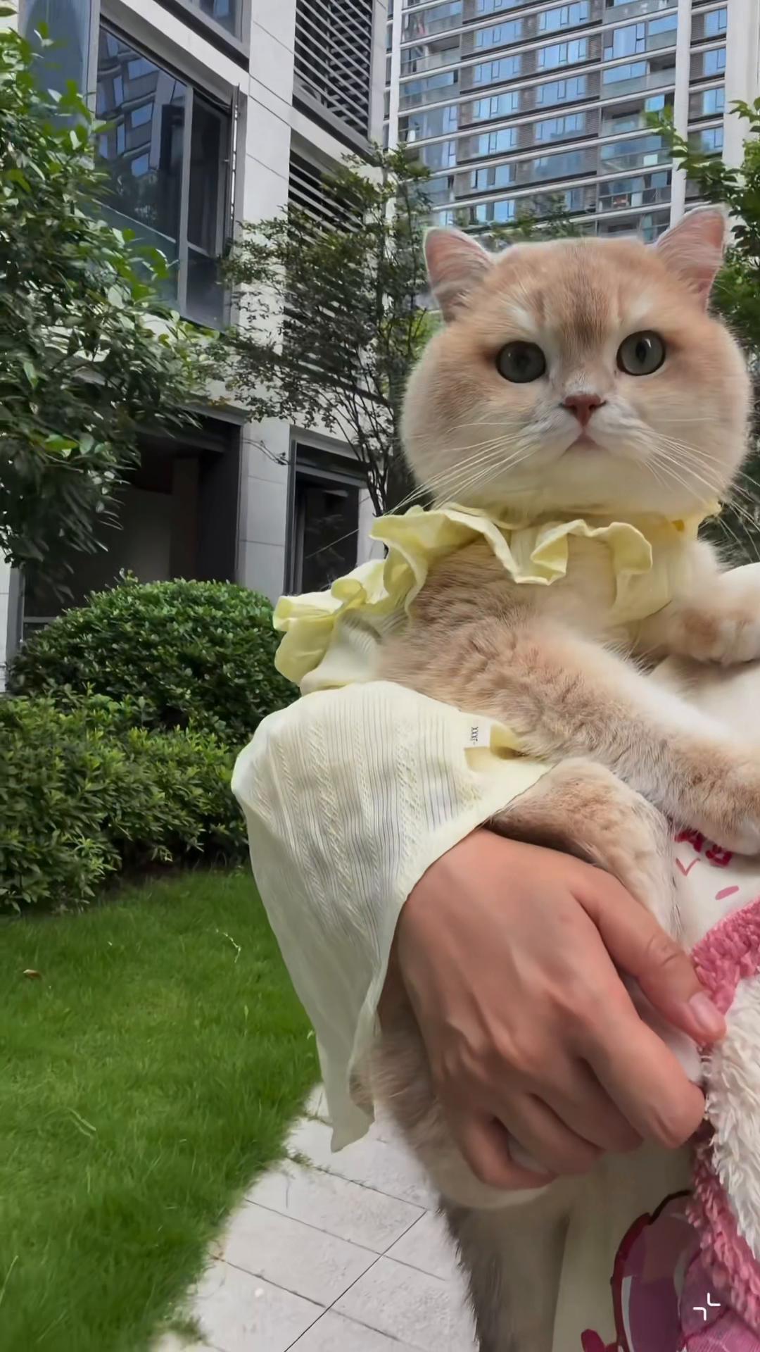 @My Daily Dose of Aww