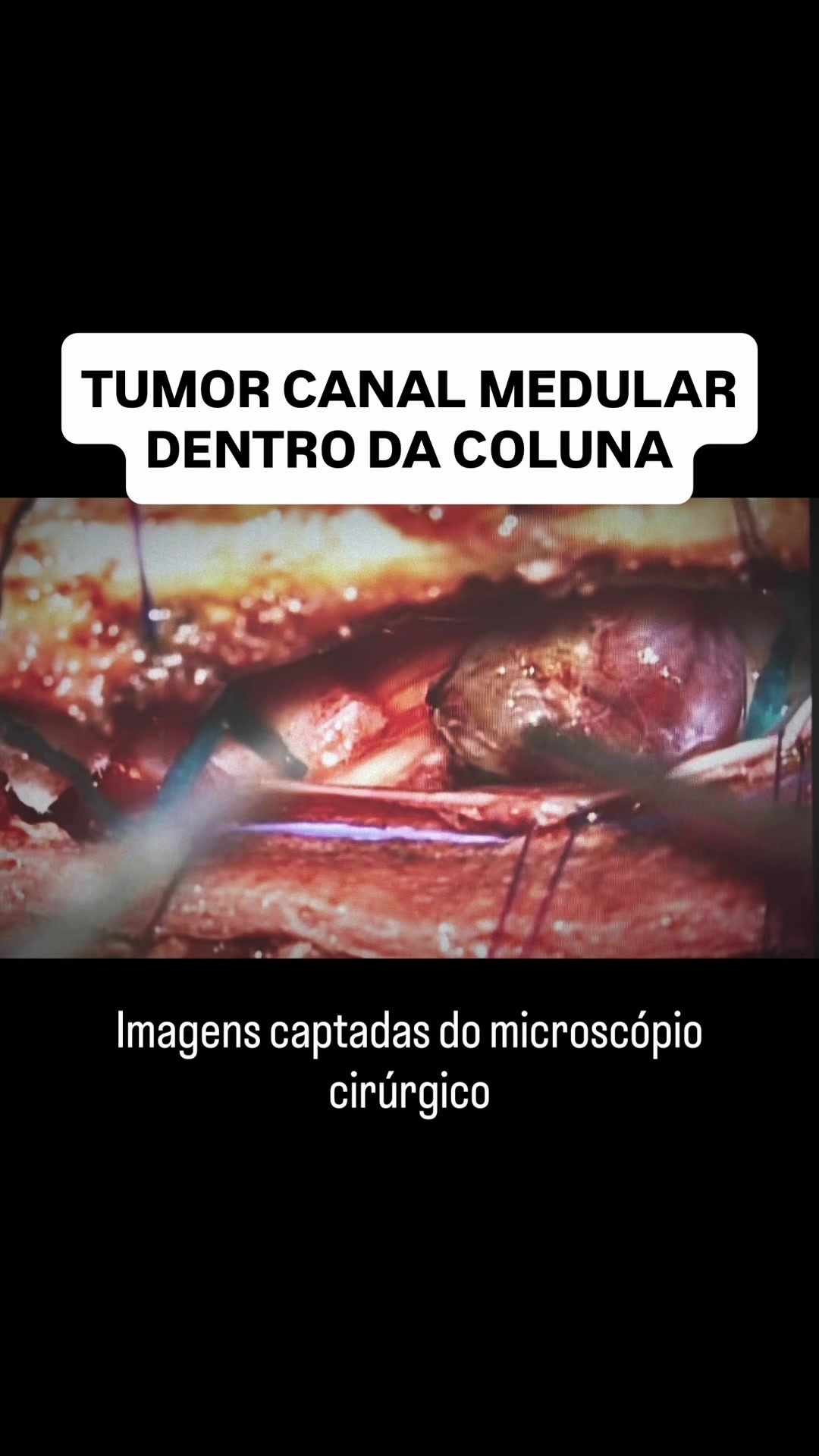 @Dr Vinicius Benites