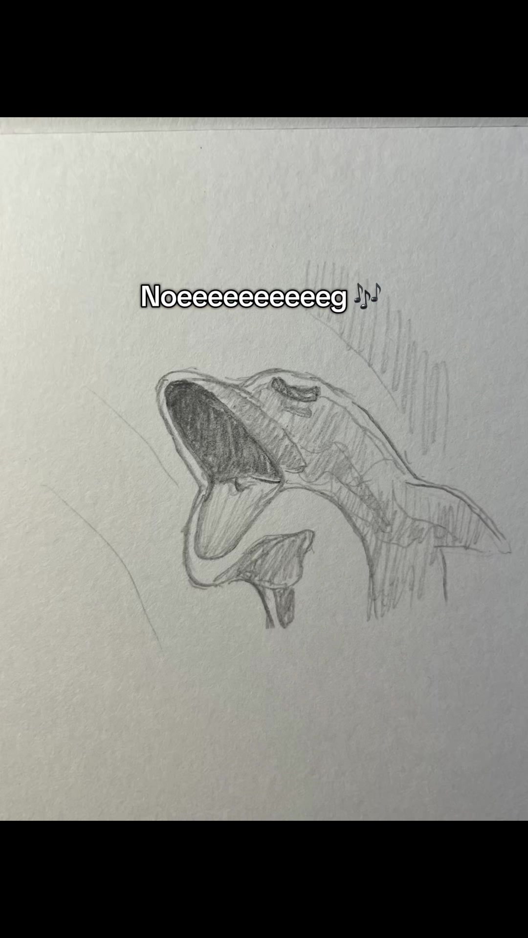 @krabbeljongen