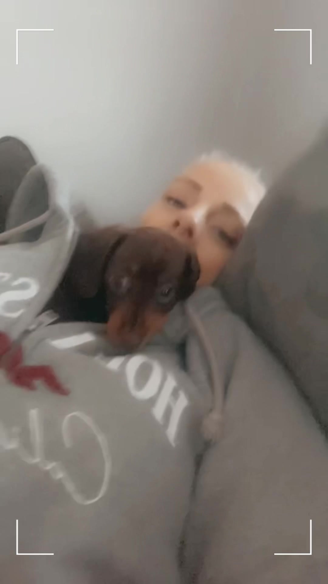 @ciciolive_mini_weiners