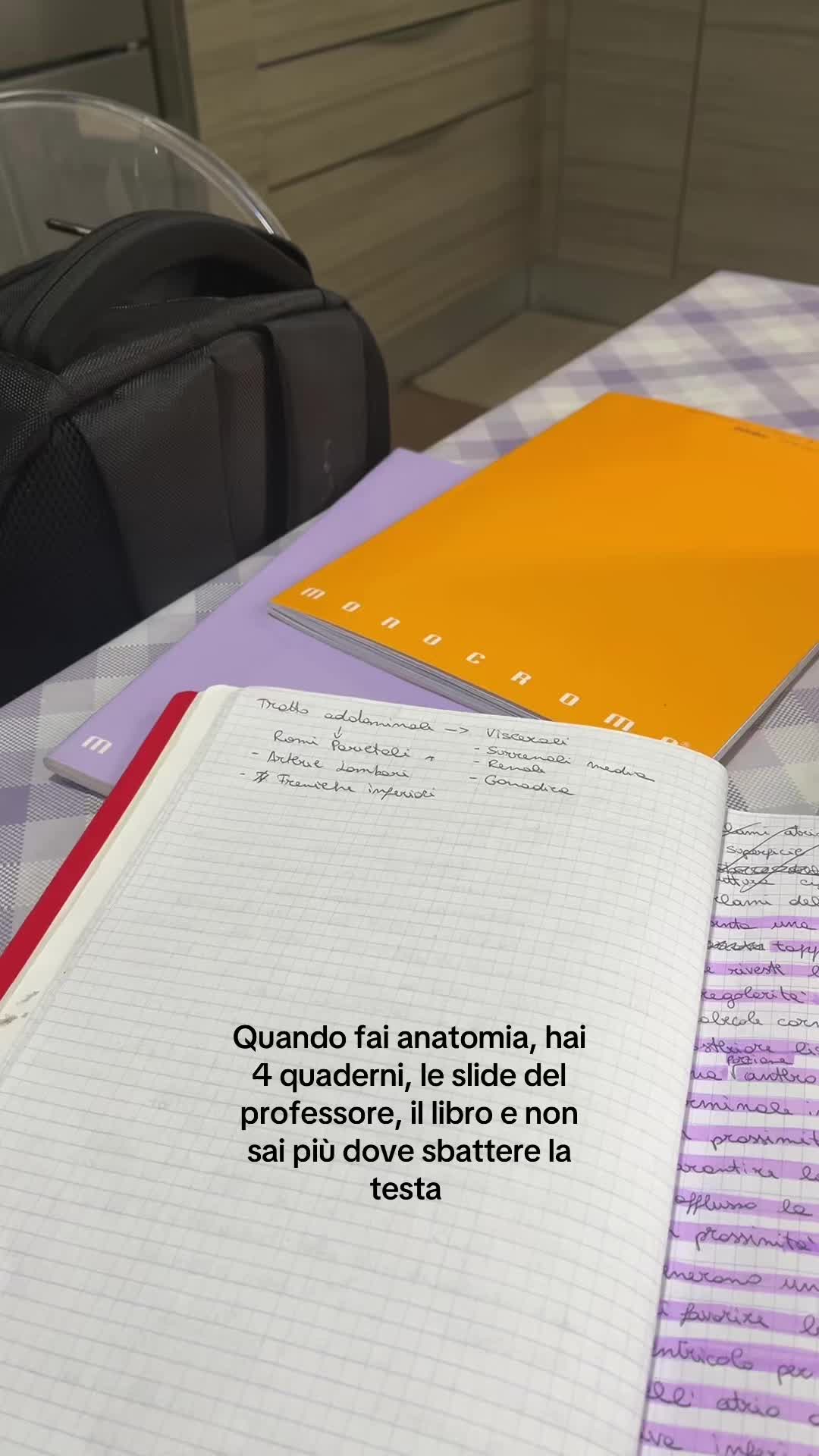 @Alessia Marchese