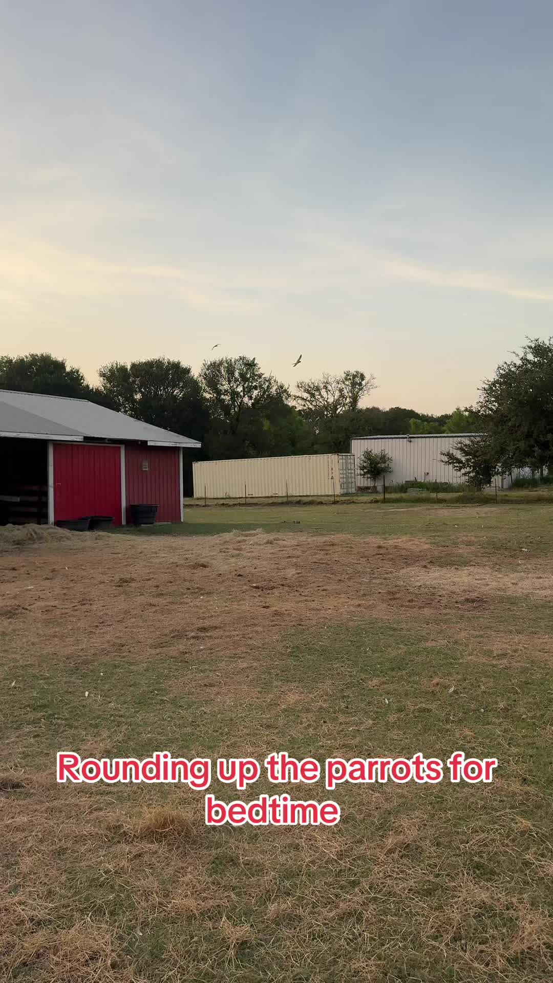 @The Gaysian cowboy