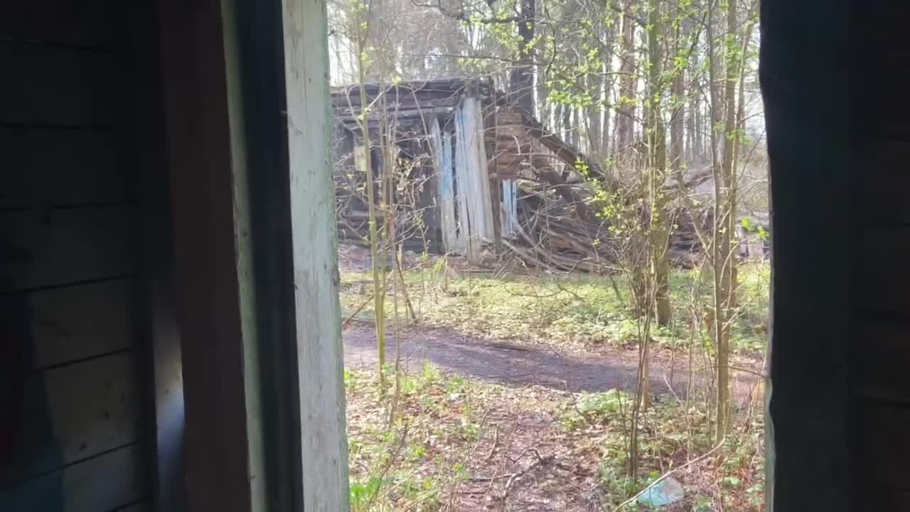 @шешель