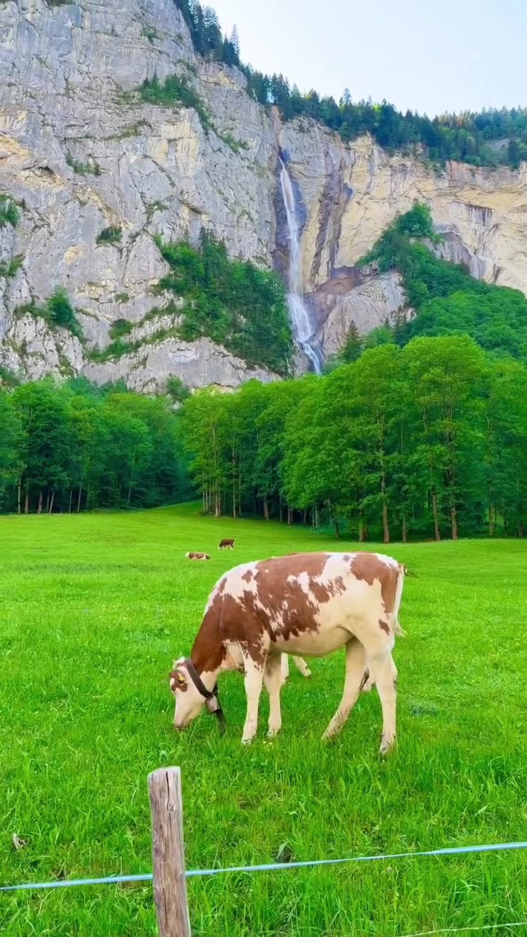 @S̳w̳i̳s̳s̳🇨🇭s̳c̳h̳w̳e̳i̳z̳