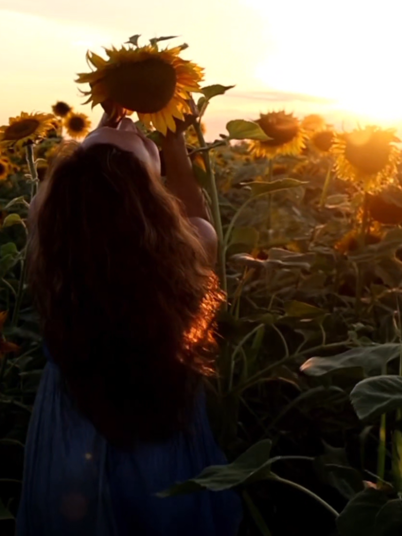 @Anna Lesko