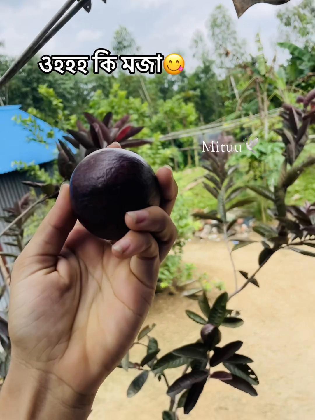 @Mituuđī¸đ