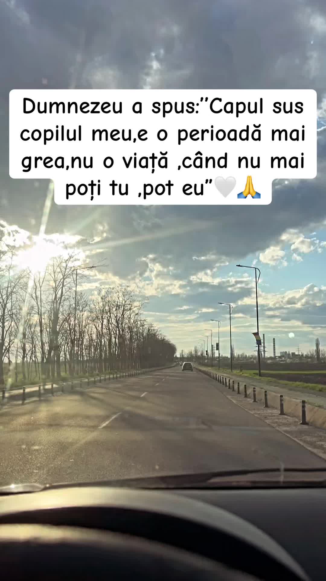 @Maria Ioniță