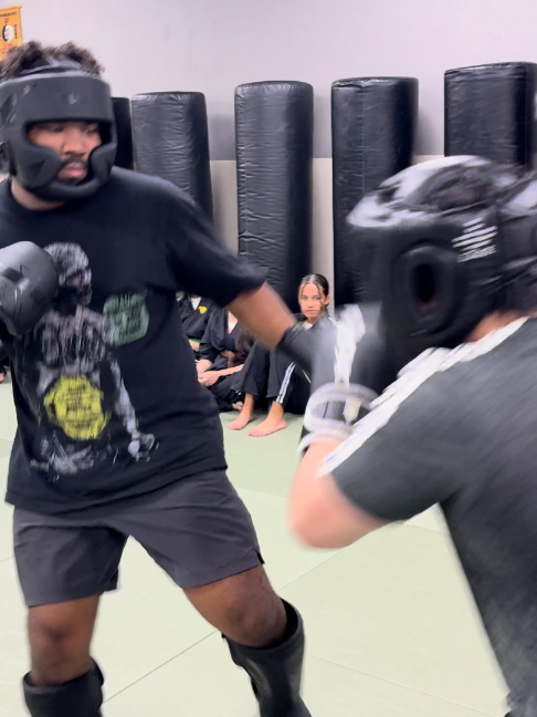 @Iron Wire Martial Arts
