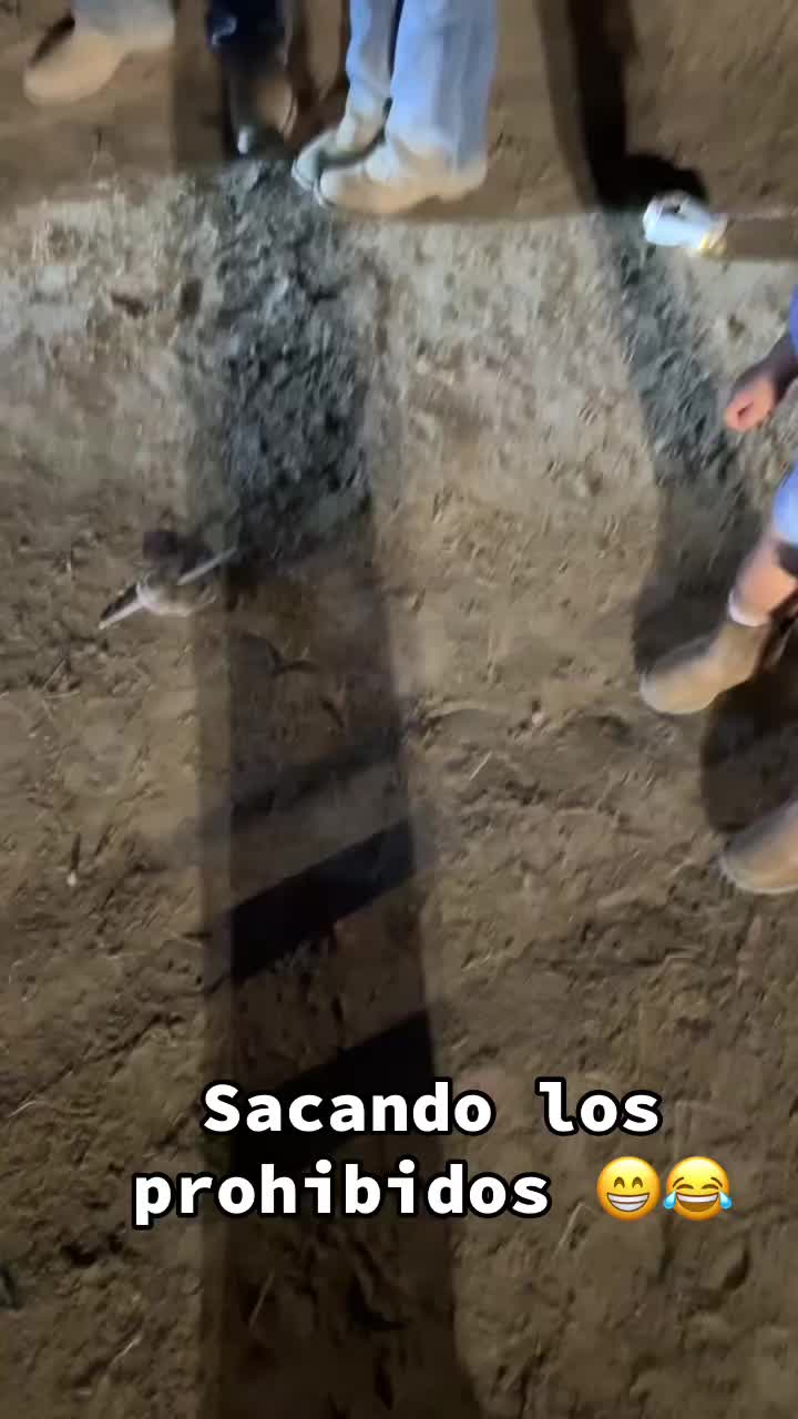 @tattie209 ❤️🦂