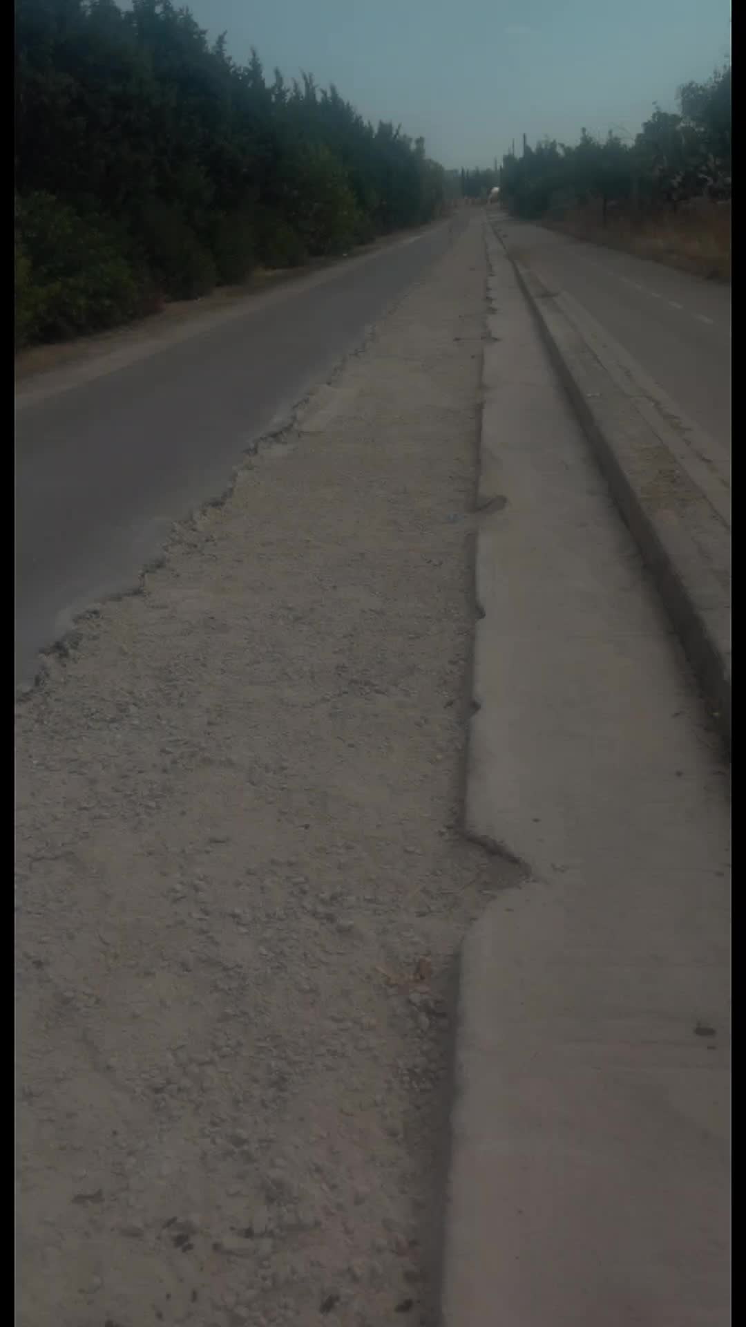 @Lu Salentinu