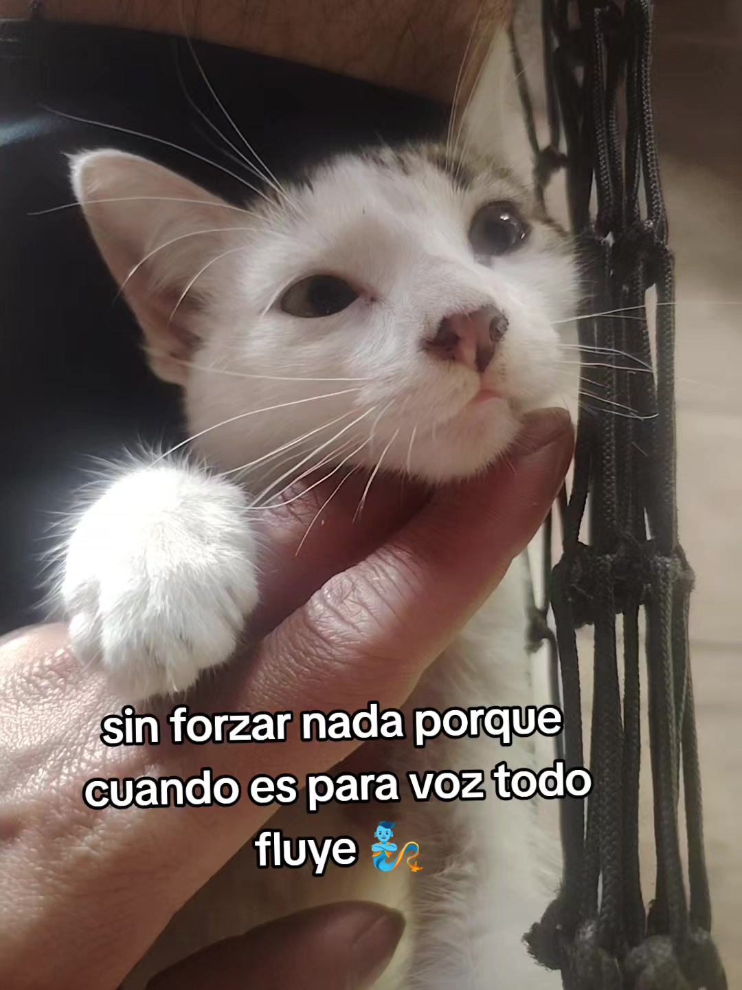 @🔥ﮩ٨ـﮩﮩ٨ـᙢī𝖌𝚞êl𝓮ₗﮩ٨ـﮩﮩ٨ـ🍀