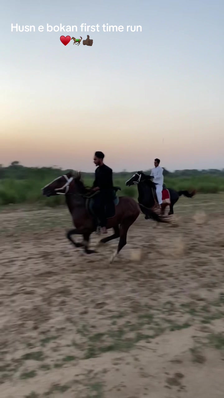 @Ch Hammad bokan &hearts;️🐎