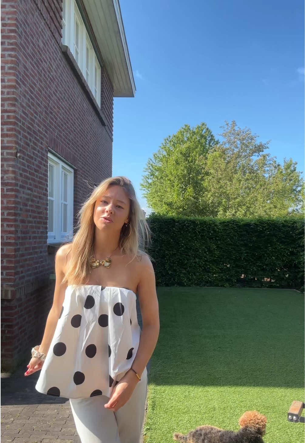 @jasmijn.tr