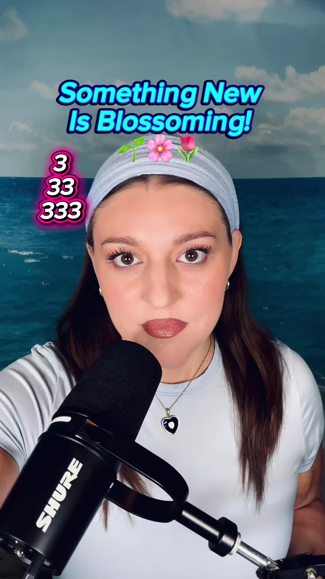 @the meta mystic