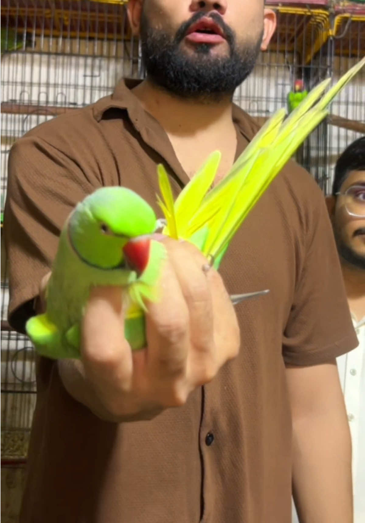 @Usama pet shop Karachi