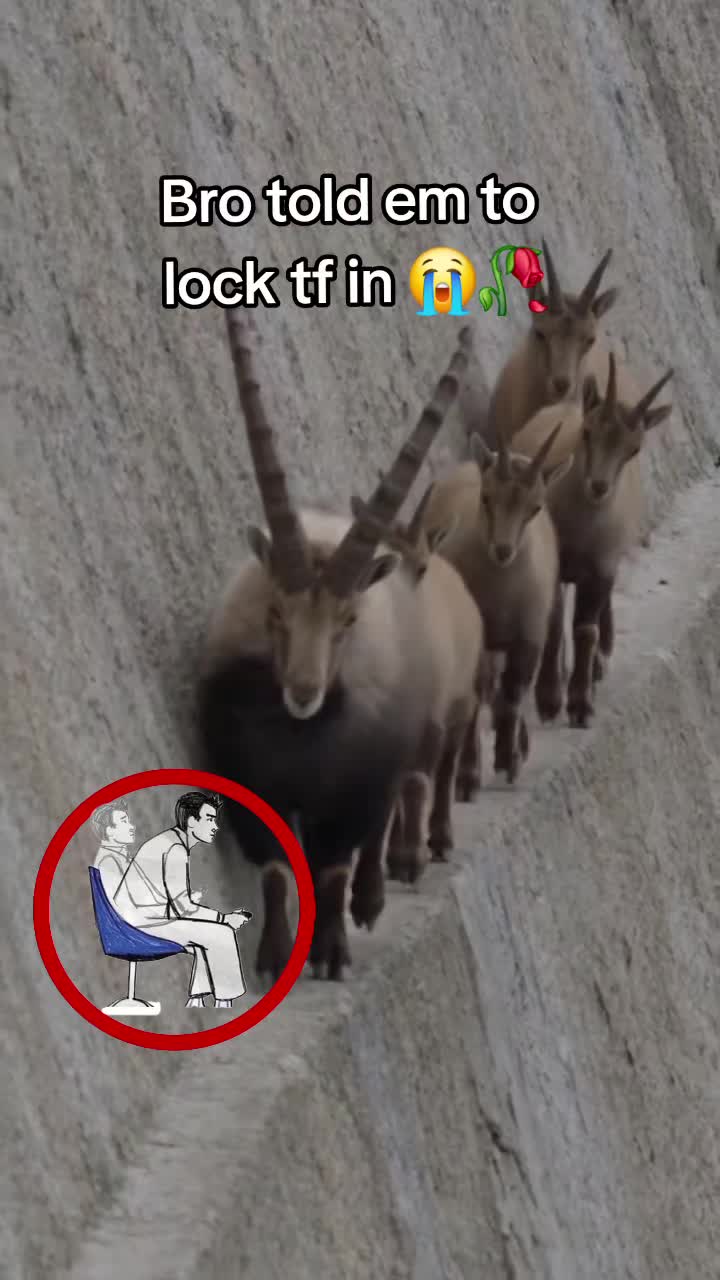 @Promanskills