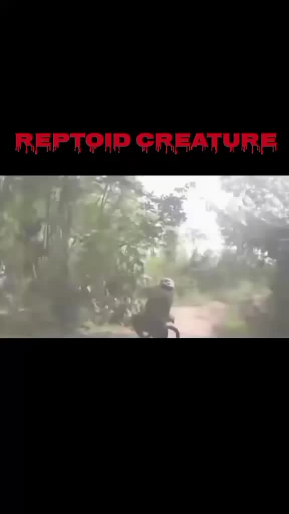 @NIGHTMARE FUEL