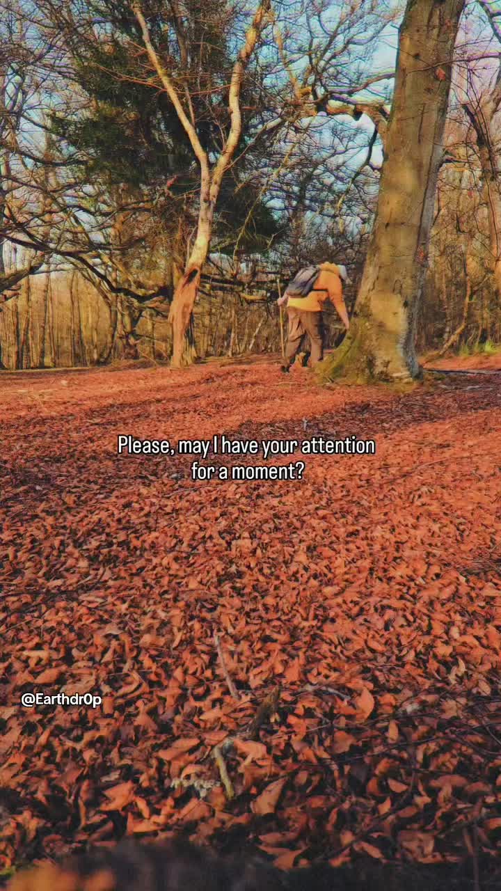 @Josh 'Earthdrop' Donaldson