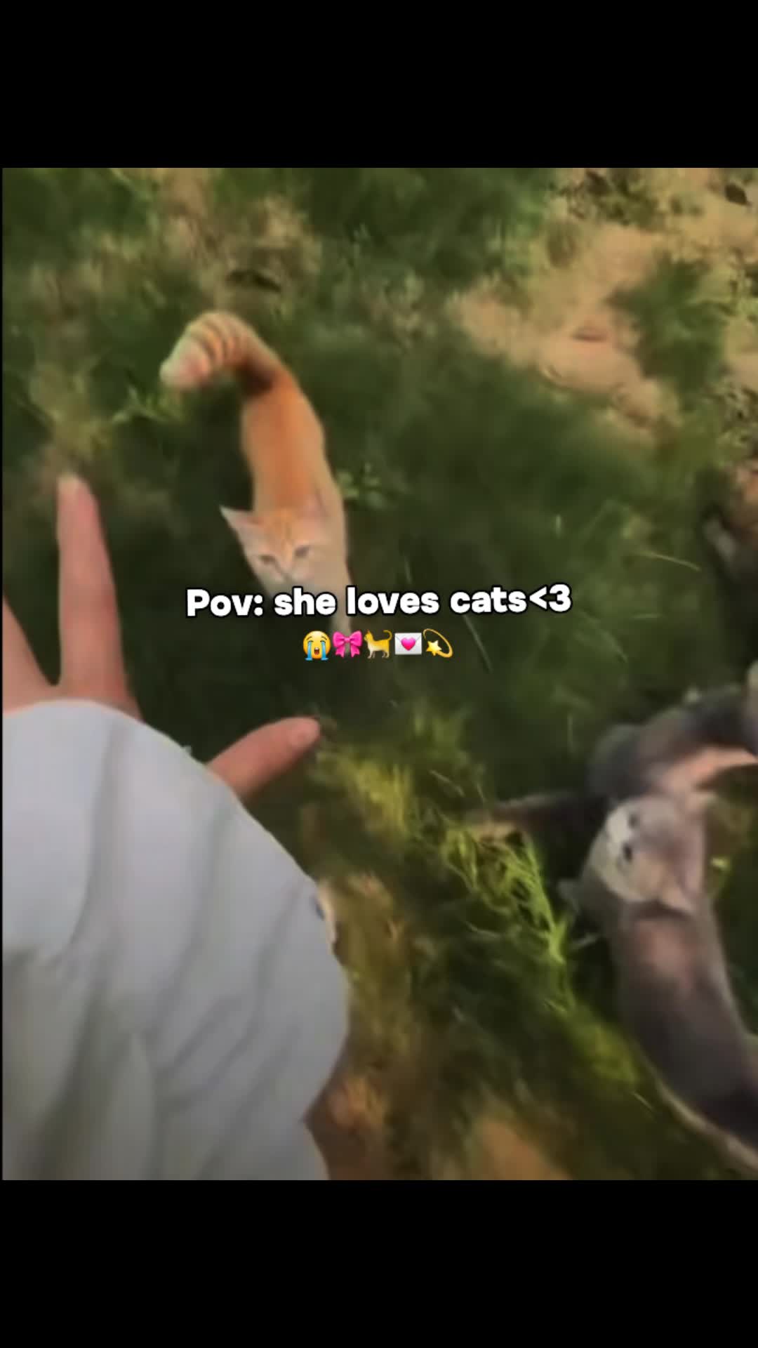 @𝑳𝒂𝒃𝒊𝒊★