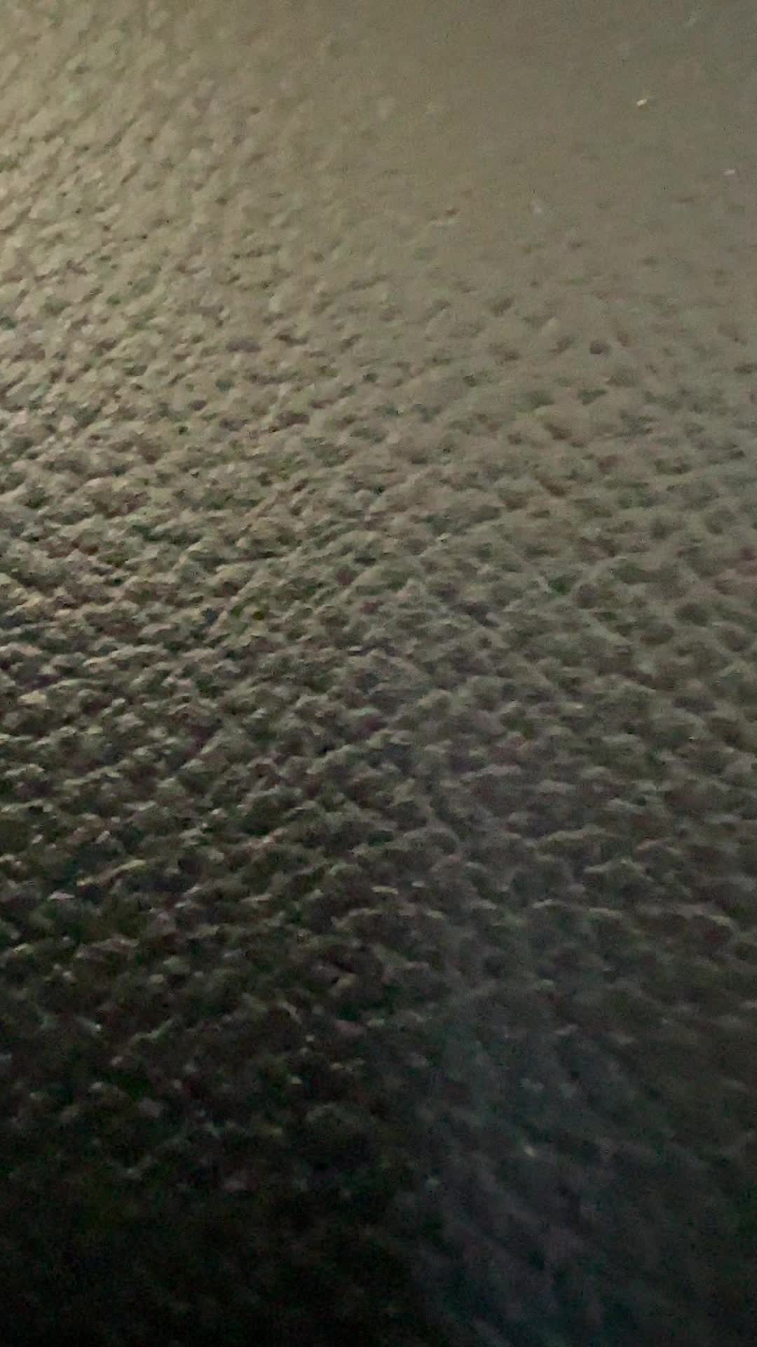 @maggiemoooo