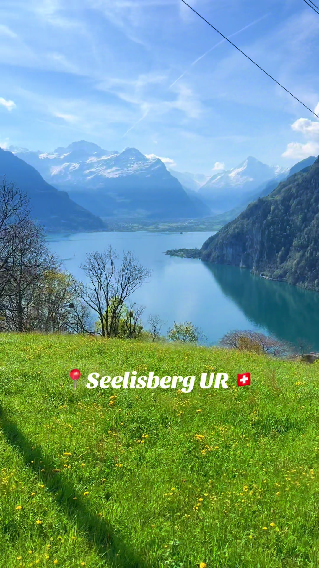 @swiss_alps