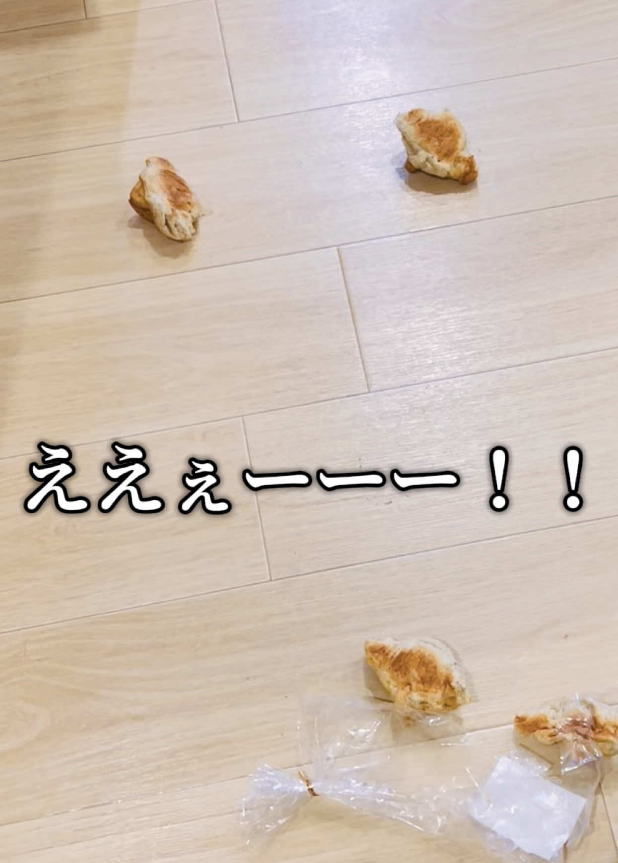 @みーこchannel