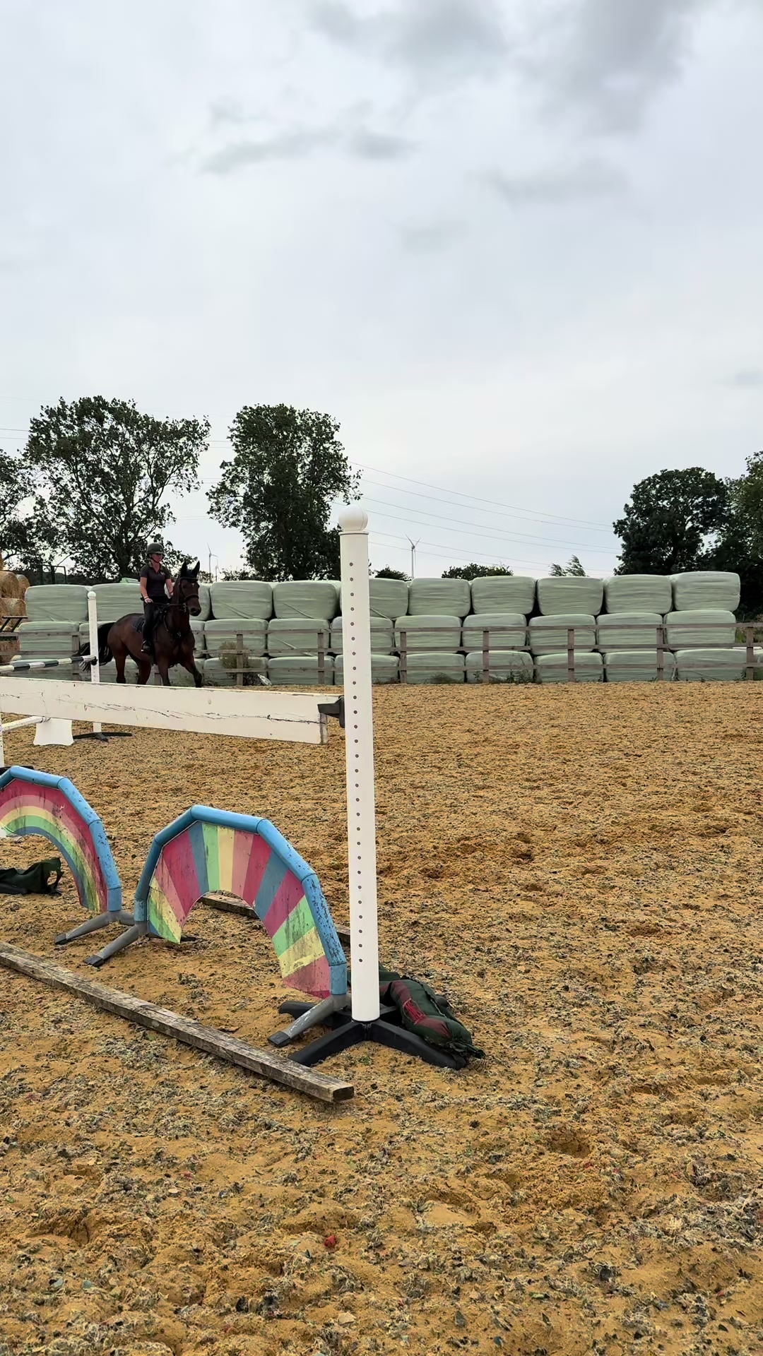 @cedequestrian