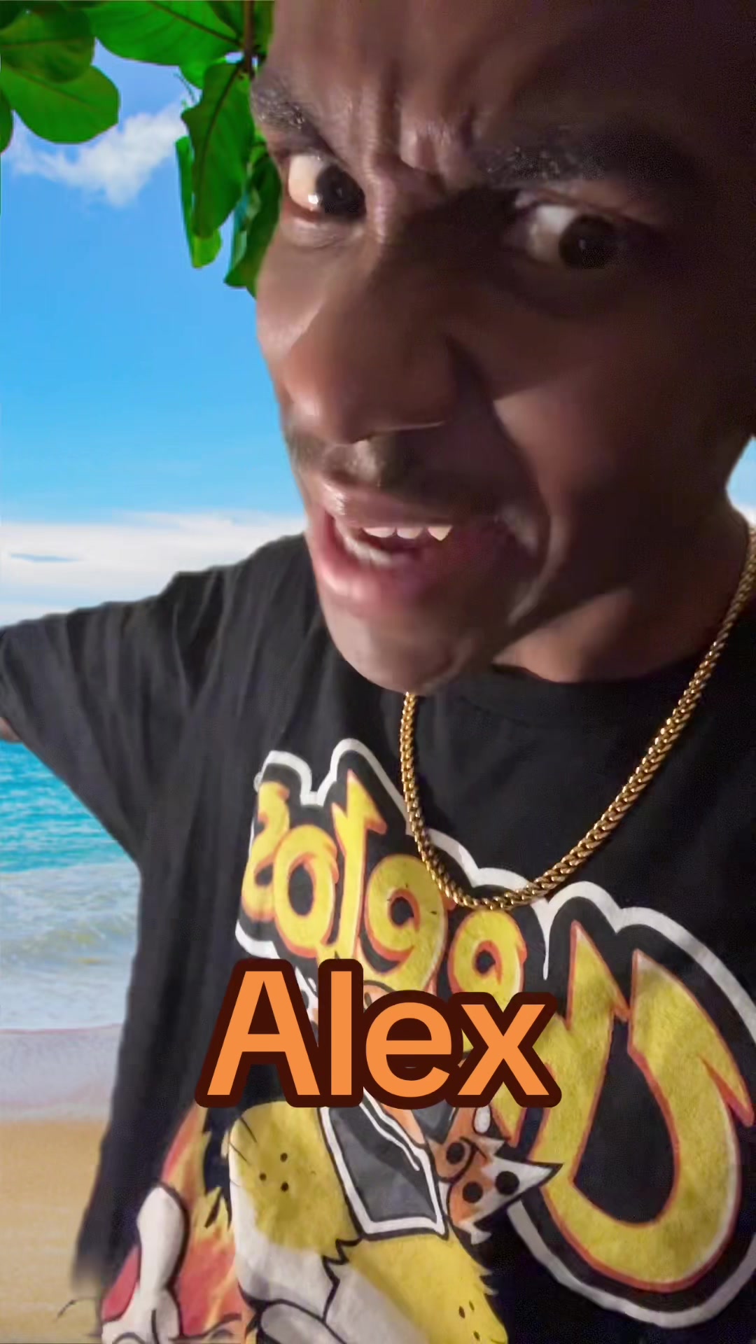 @kingbrandon277