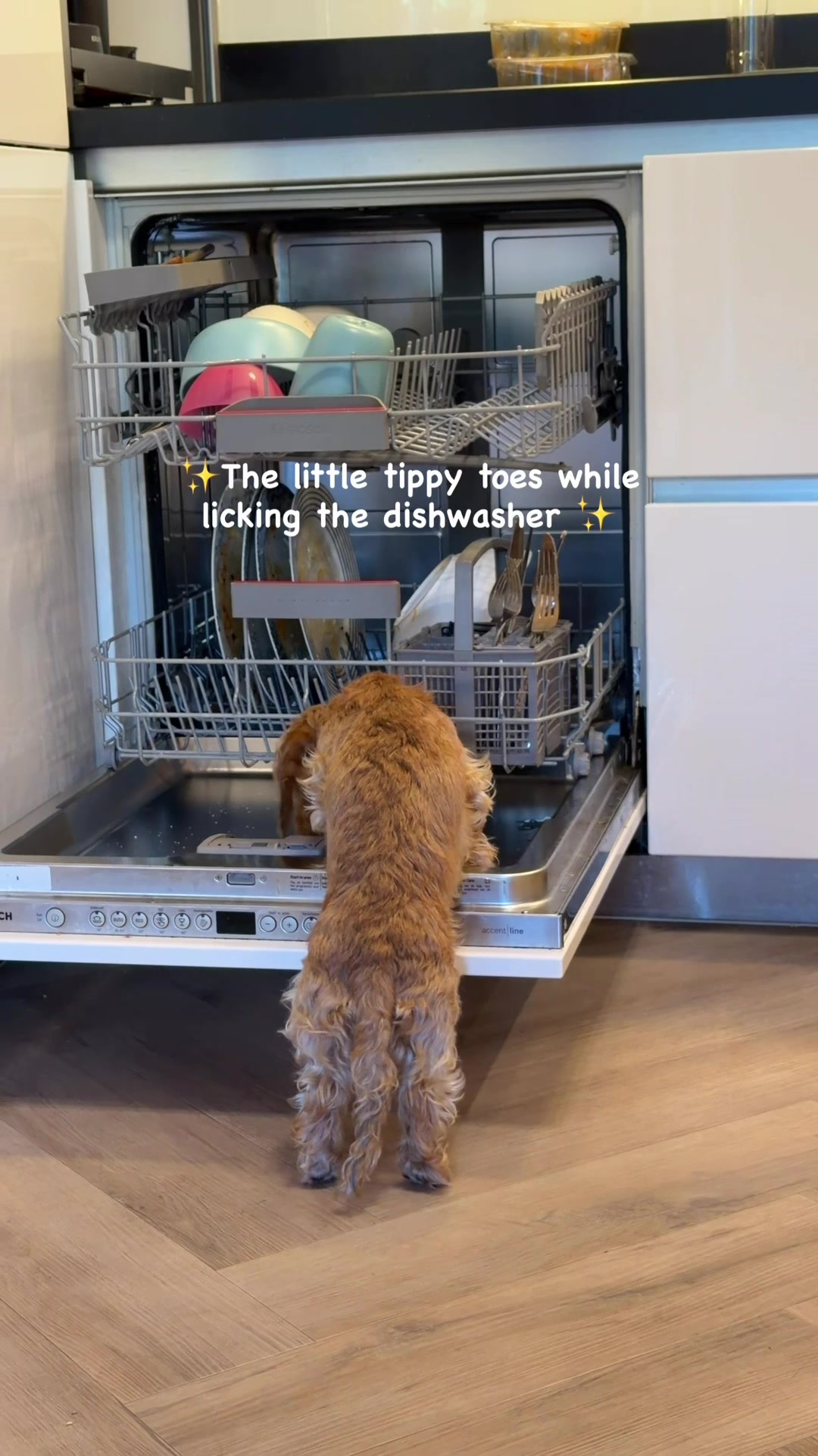 @lifeoflunabowie