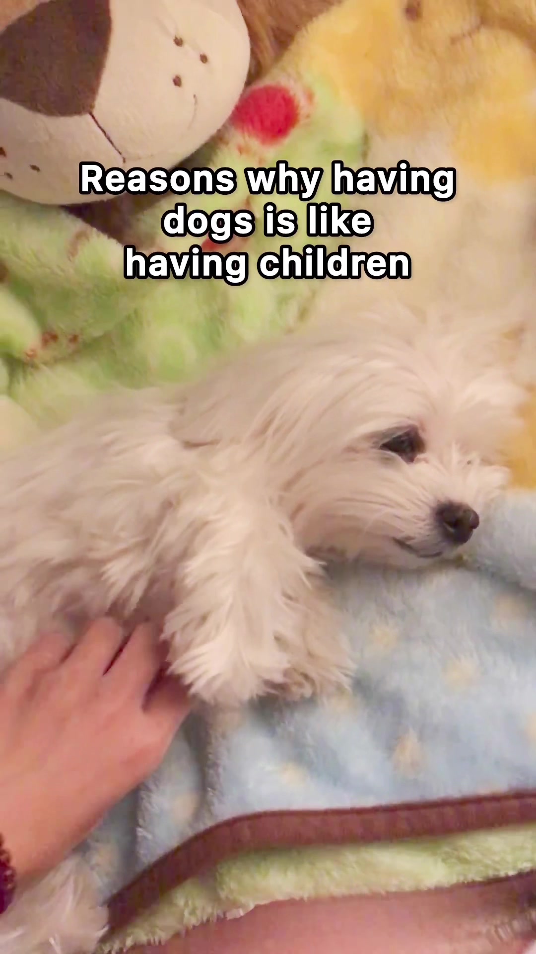 @hi.arod