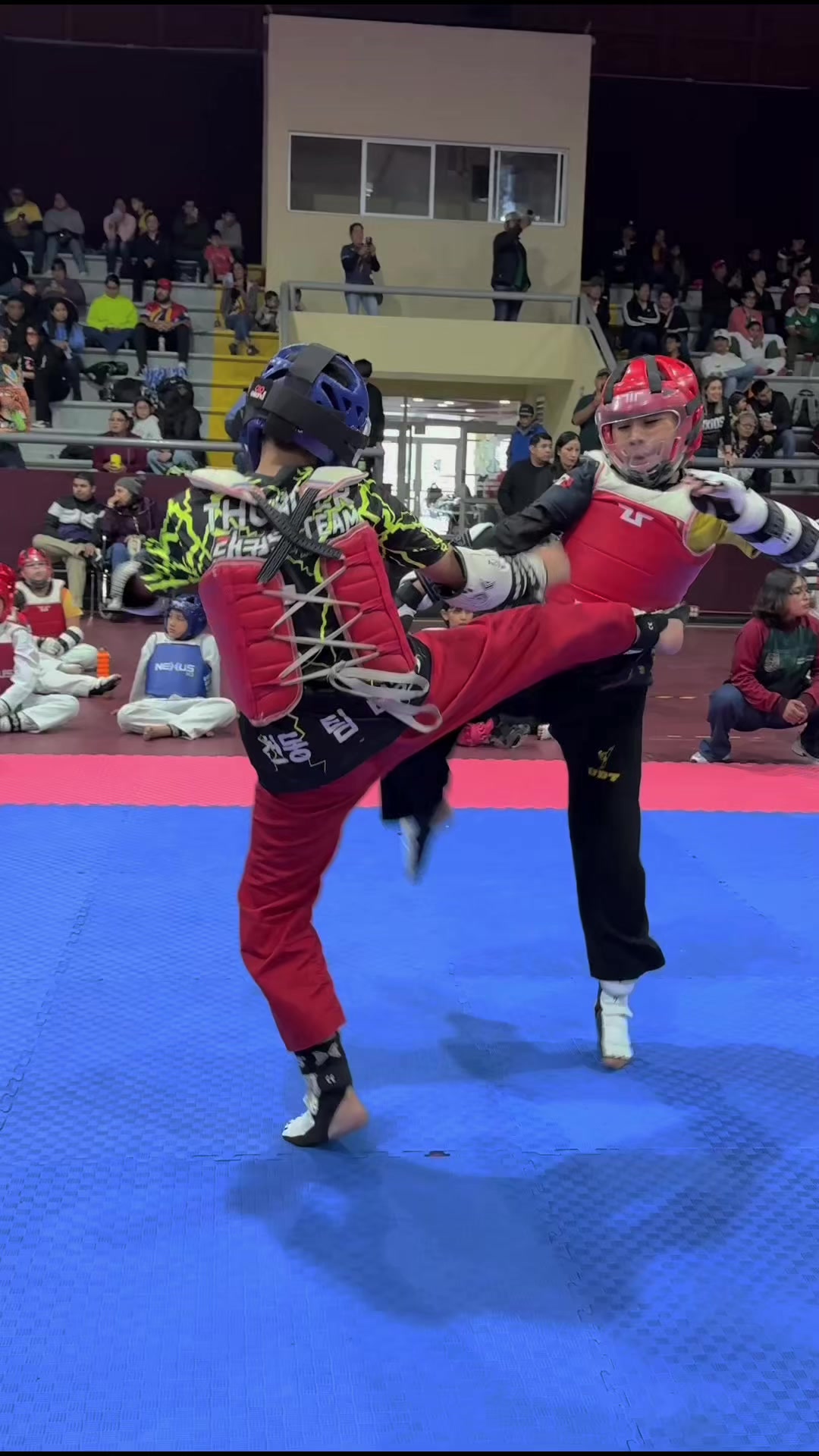@taekwondolionsteam