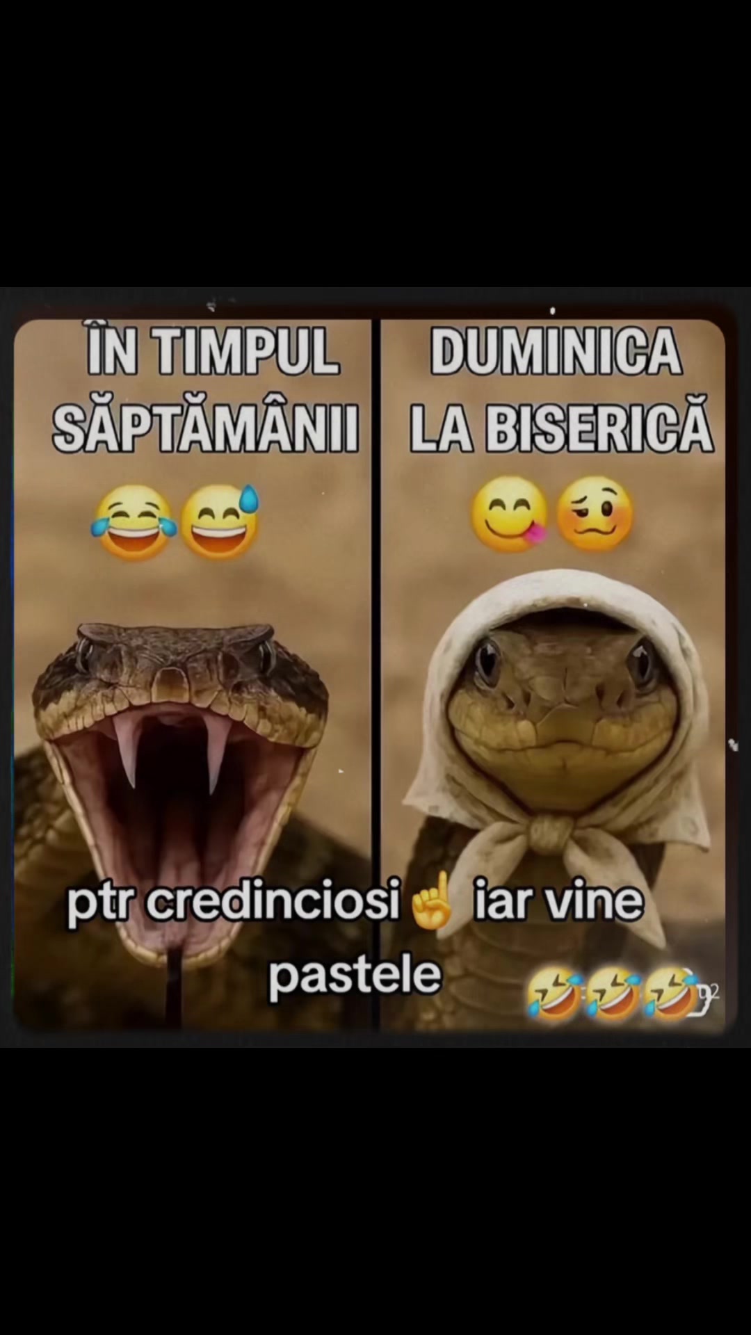 @Lavinia Matei