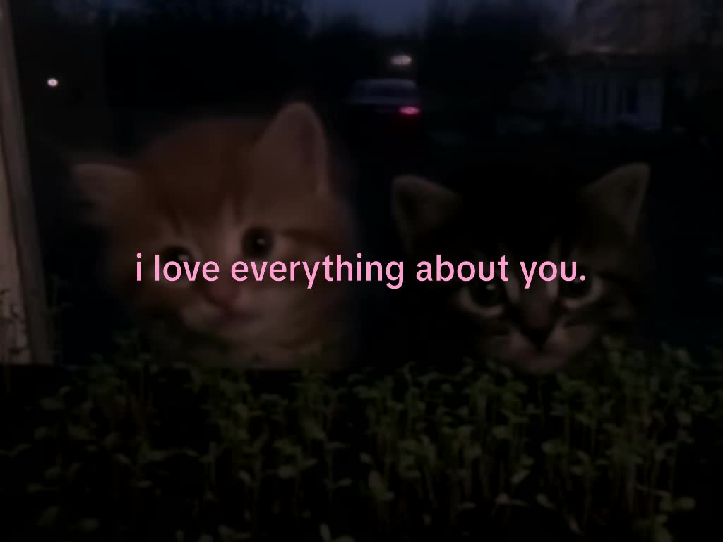 @mond