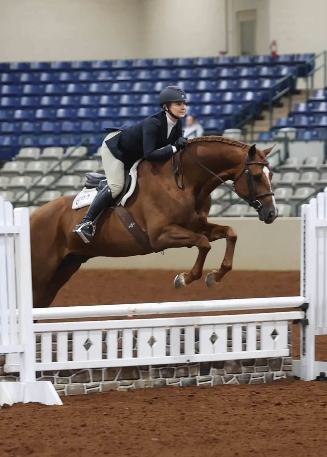 @Miranda | Equine Photographer