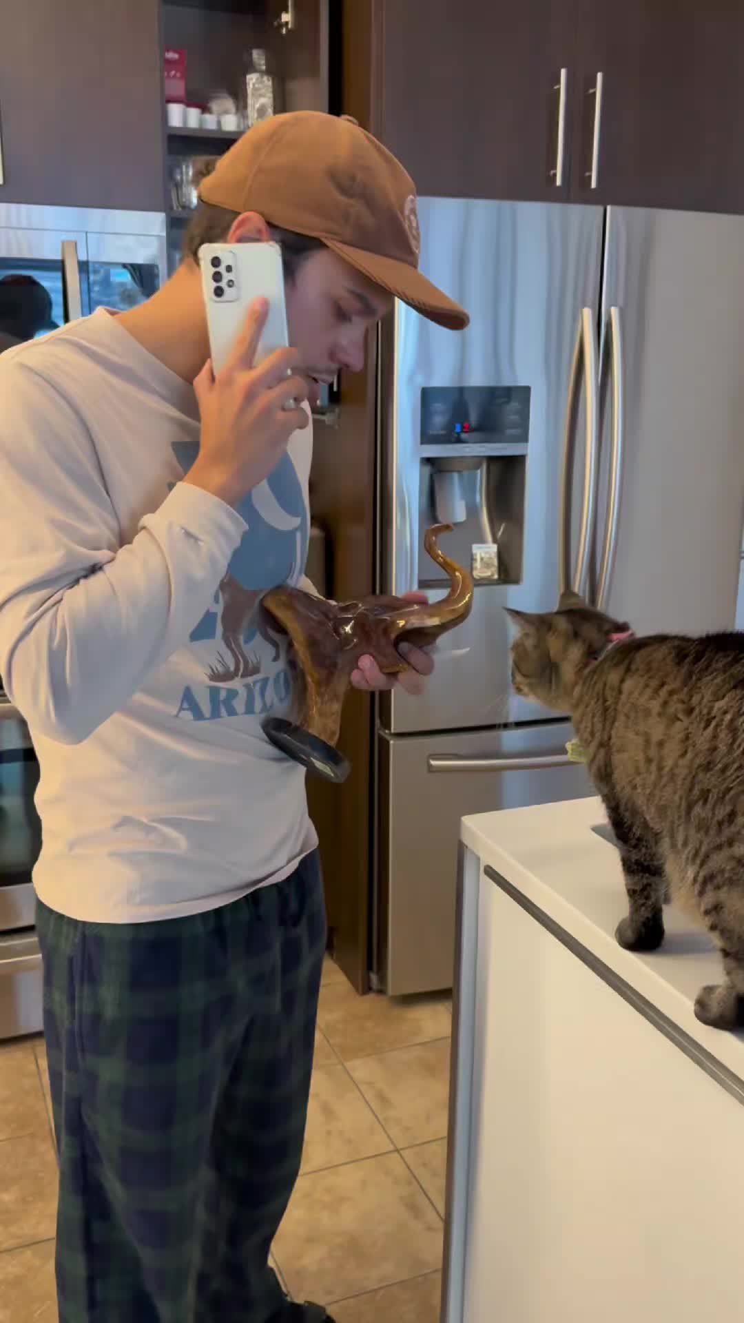 @Bellarda the cat