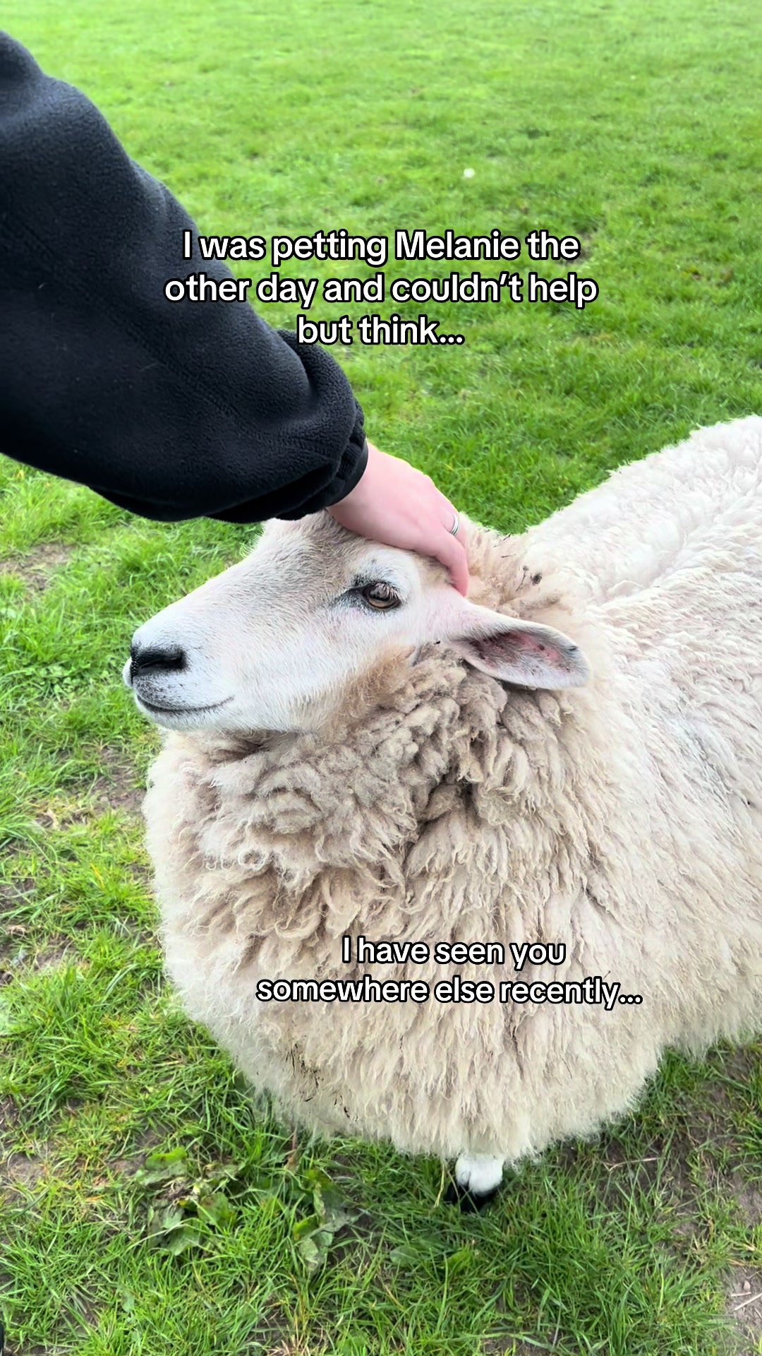 @Annie The Lamb