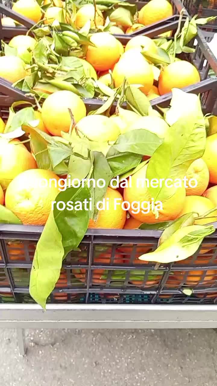 @mariodantonio7