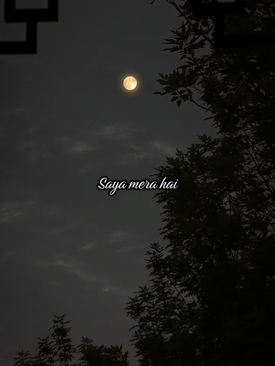 @ROSE