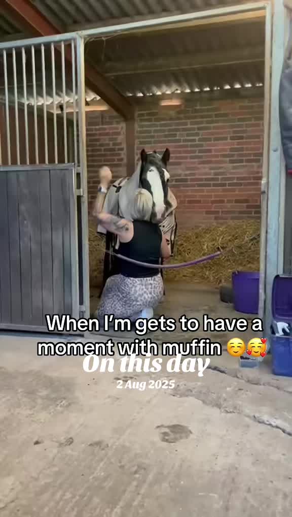 @☽ ✧ 𝓜𝓲𝓬𝓱𝓮𝓵𝓵𝓮 𓃗 ✧ ☽