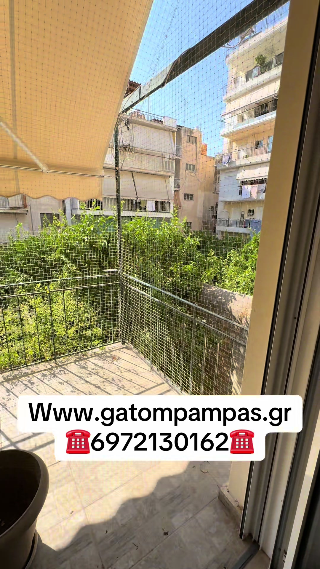 @GatompampasMastoras