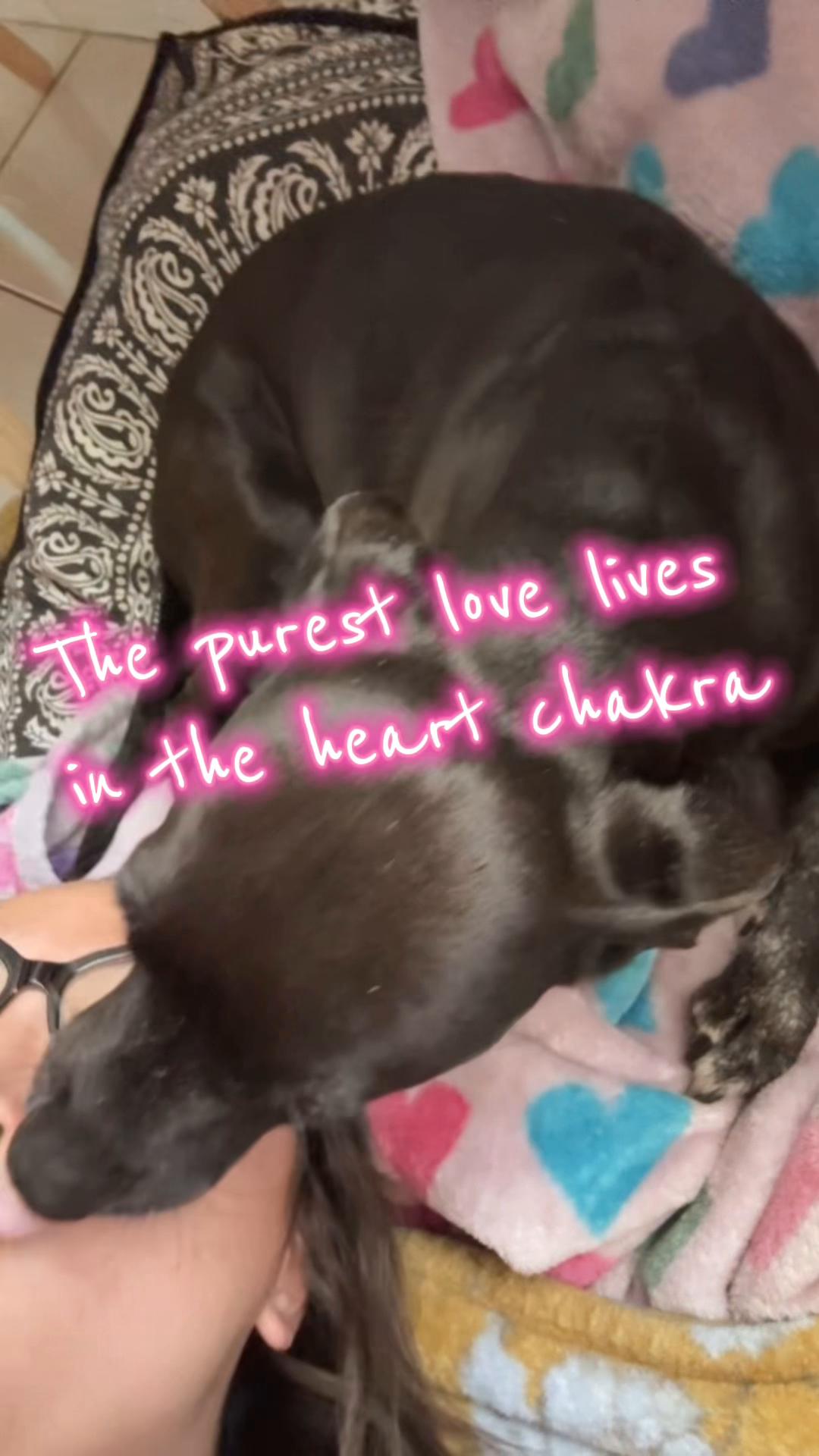 @Carla | Reiki Master
