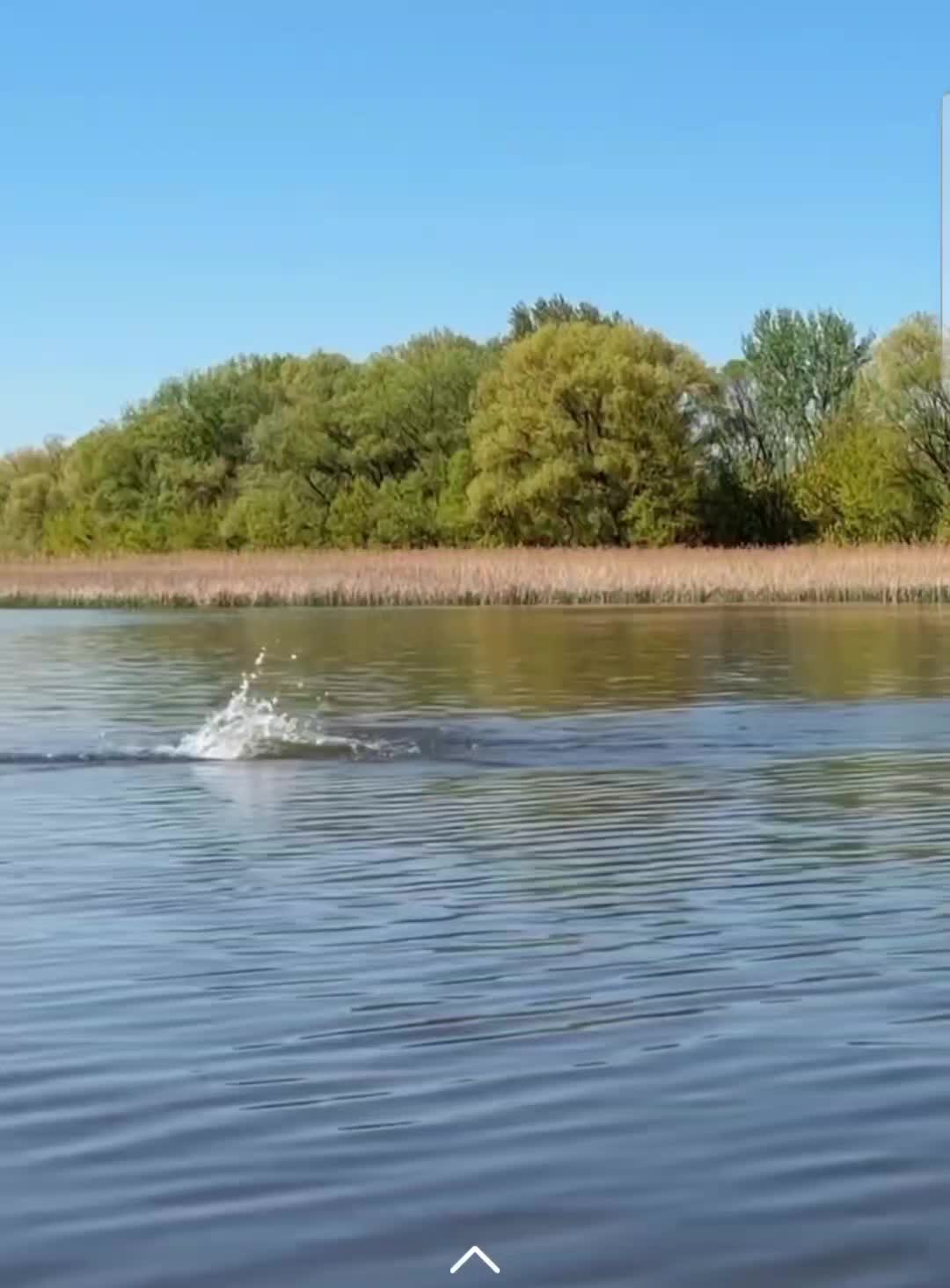 @fishing