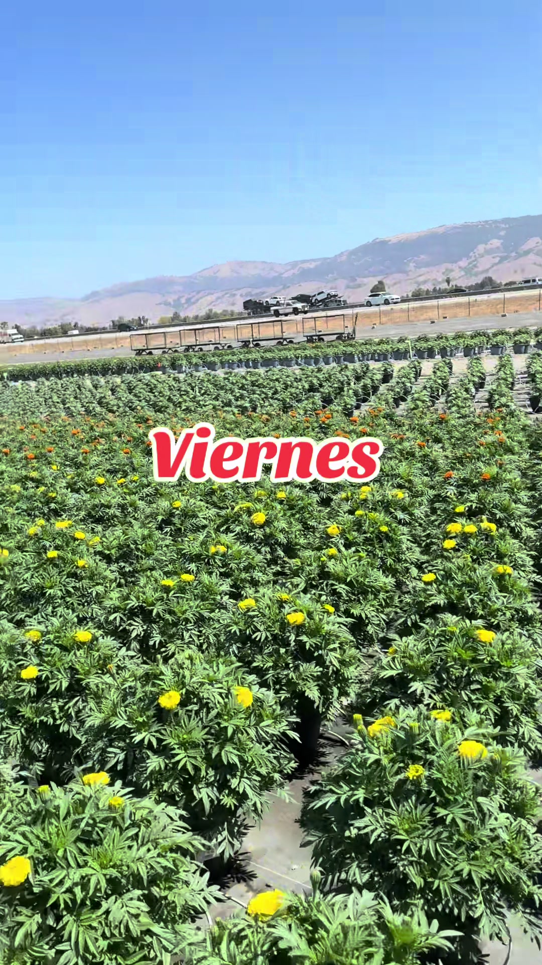 @Yesi. López .🍀🥰🙏