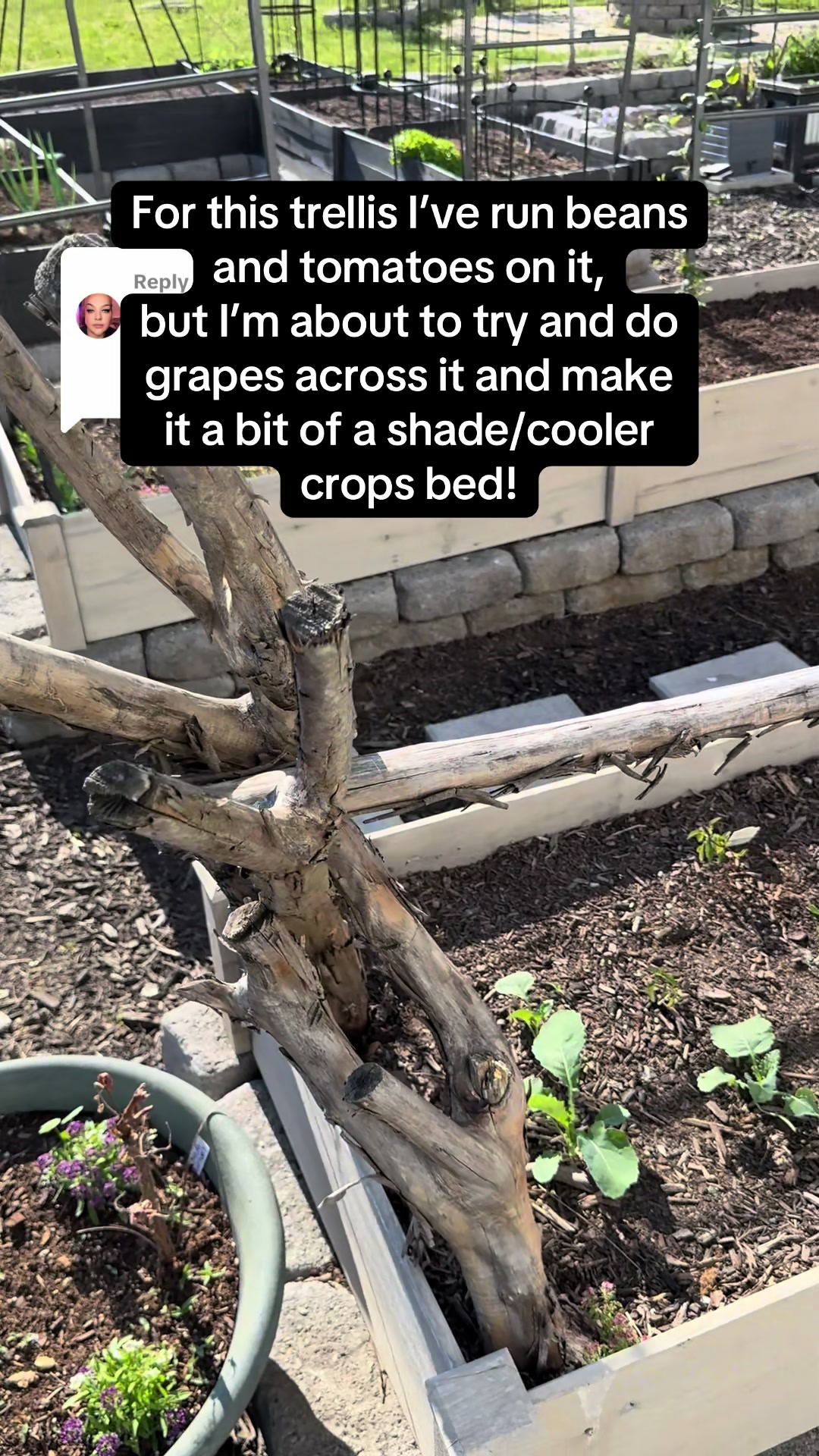 @The Bitchy Gardener - Jess 🍉