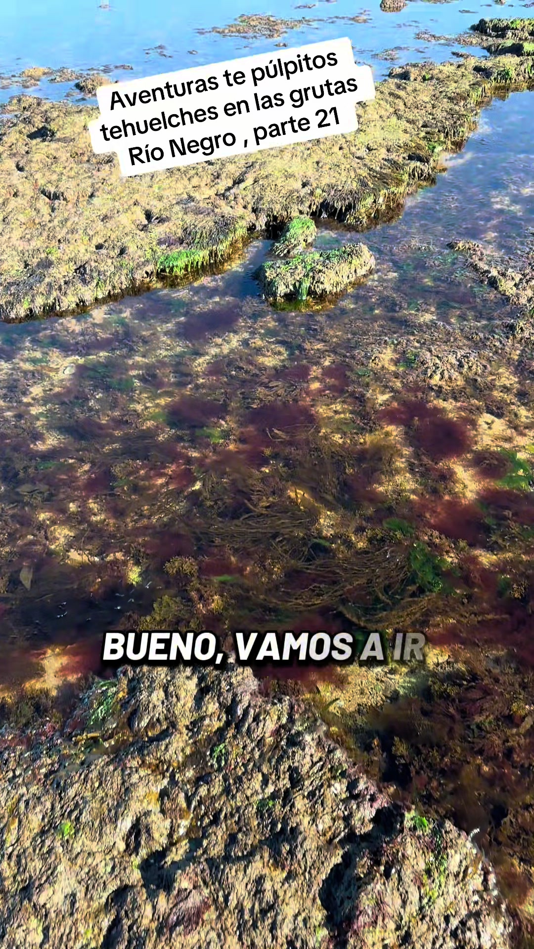 @El flaco